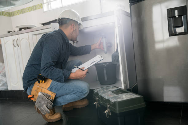 Best Residential Plumbing Services  in Erie, IL