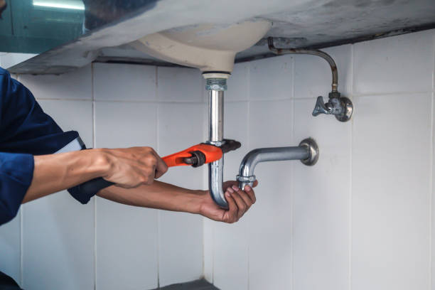 Best Emergency Plumber  in Erie, IL
